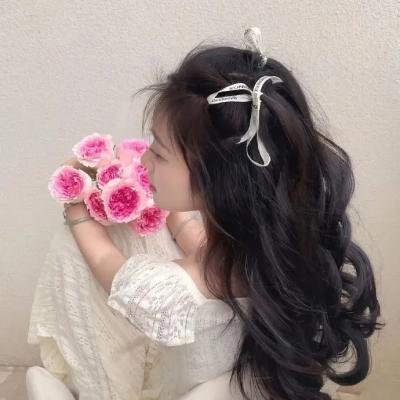 星蝶公主第三季